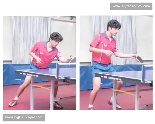 乒乓球技巧全面解析与训练方法提升运动水平指南